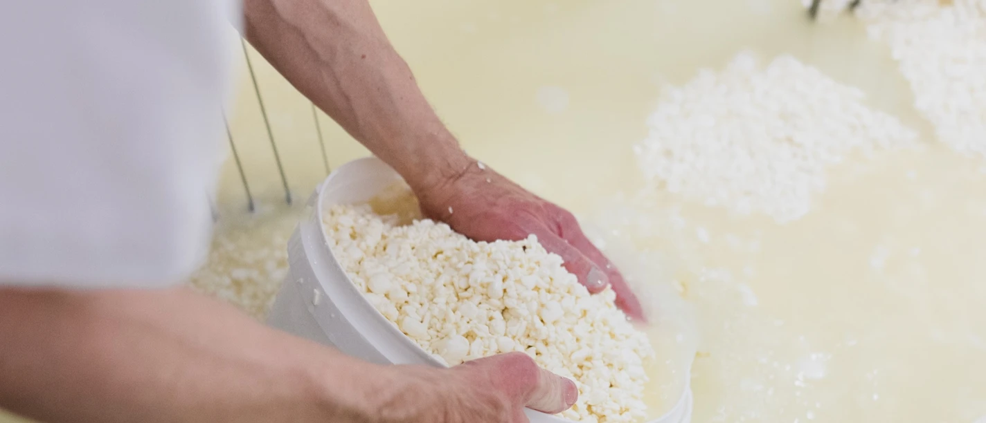 Käsekurs Käsekurs auf dem Erdmannshof