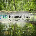 Naturschätze Südwestfalen_Foto (c) Tim Seiffert.jpeg