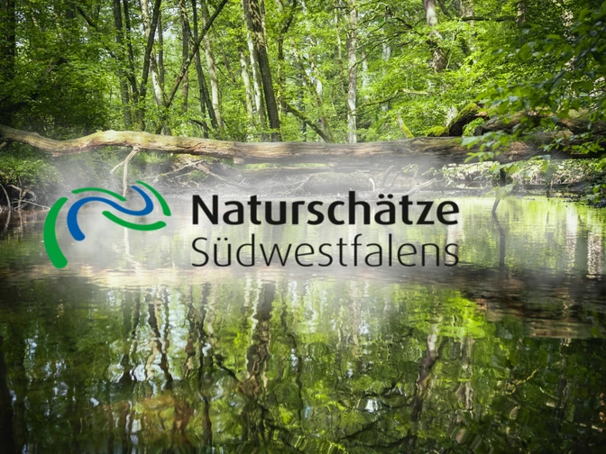 Naturschätze Südwestfalen_Foto (c) Tim Seiffert.jpeg