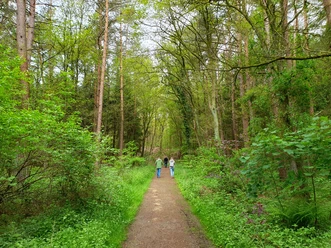Holle Sand_Naturschutzgebiet_Uplengen.jpg