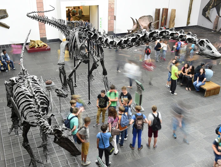 Dinosaal im Senckenberg Museum