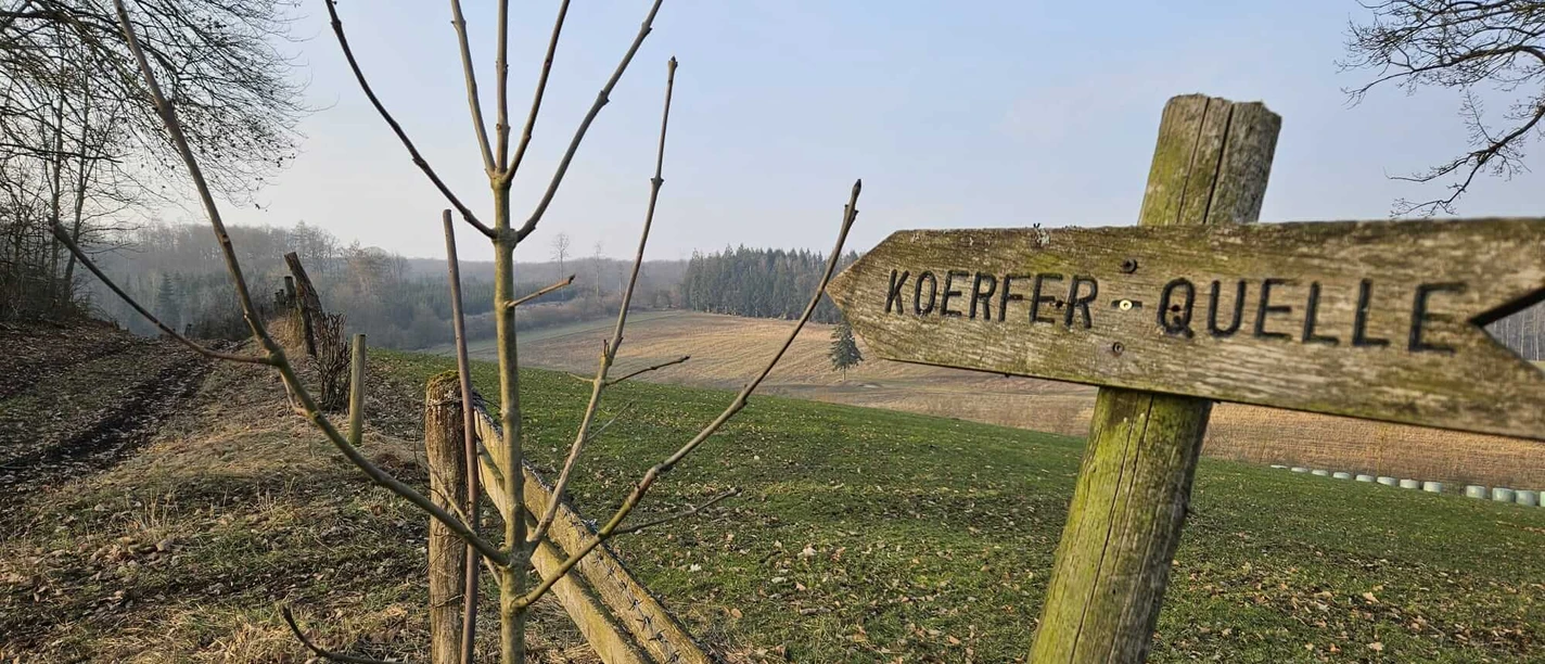 Bad-Driburg-Herste-Koerfer-Quelle-Bad-Driburger-Touristik-GmbH-7_kom.jpeg Wegfeiler Richtung Koerfer Quelle in Herste.