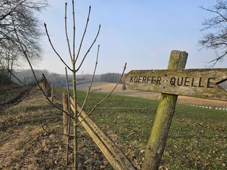Bad-Driburg-Herste-Koerfer-Quelle Wegfeiler Richtung Koerfer Quelle in Herste.