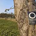 Ein Holzschild am Baum markiert den 7,3 km langen Koerfer-Weg durch eine offene Wiesenlandschaft.