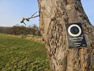 Bad-Driburg-Herste-Koerfer-Weg-Bad-Driburger-Touristik-GmbH_kom.jpeg Ein Holzschild am Baum markiert den 7,3 km langen Koerfer-Weg durch eine offene Wiesenlandschaft.