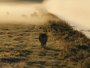 Rindergraben Rindergraben am Wanderweg Sumter See