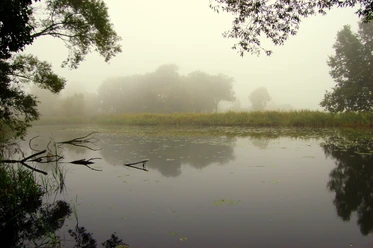 Sumter See im Nebel Sumter See im Nebel