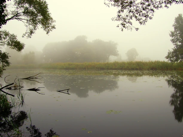 Sumter See im Nebel Sumter See im Nebel