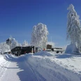 braunlage-winter-wandern-wurmberg(c)btmg.jpg