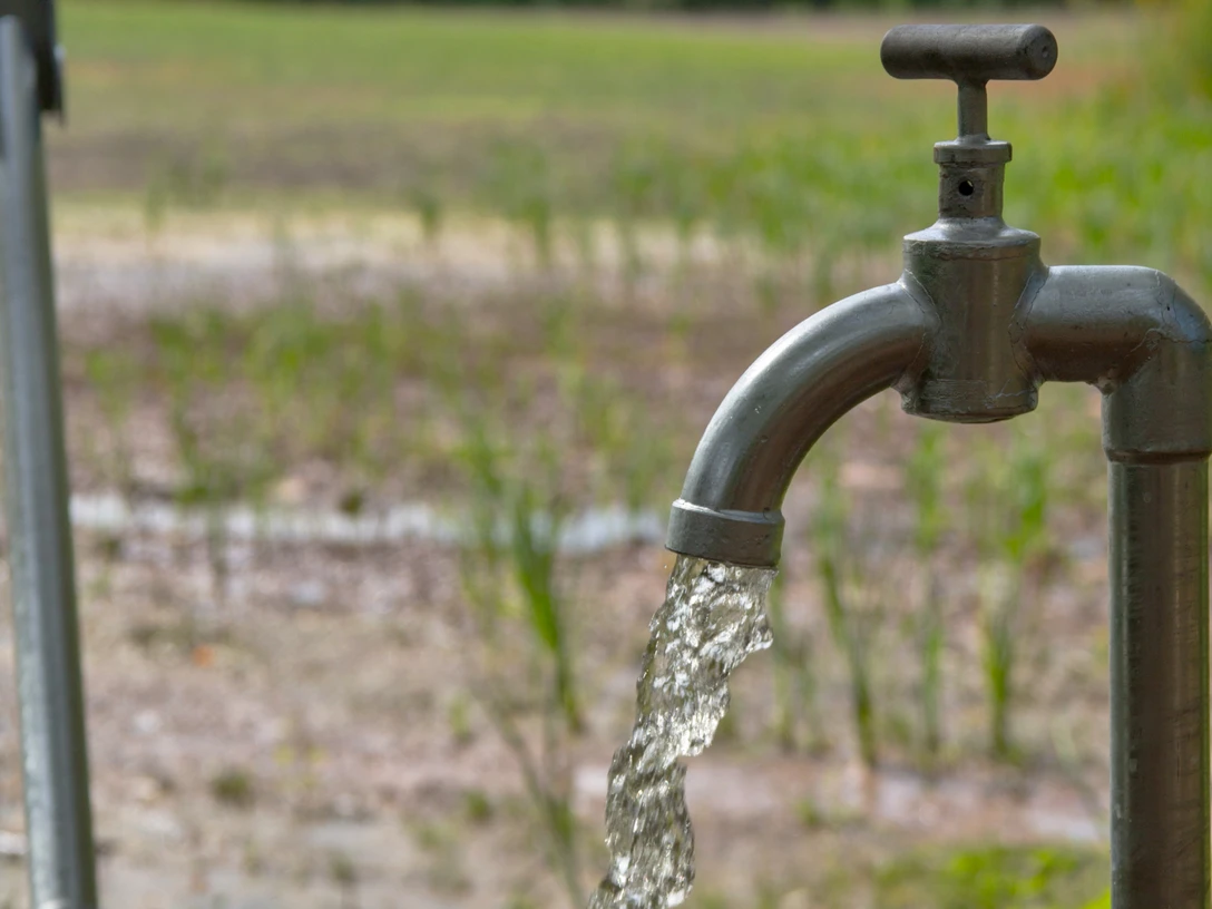 Wasser_Hahn_draussen_19_096_0293_wasserhahn_draussen_sprudelt_wasserverbrauch__iris_terzka Region Hannover.jpg Ein Außenwasserhahn sprudelt inmitten grüner Vegetation, vermittelt ein Gefühl von Frische.