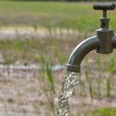 Wasser_Hahn_draussen_19_096_0293_wasserhahn_draussen_sprudelt_wasserverbrauch__iris_terzka Region Hannover.jpg Ein Außenwasserhahn sprudelt inmitten grüner Vegetation, vermittelt ein Gefühl von Frische.