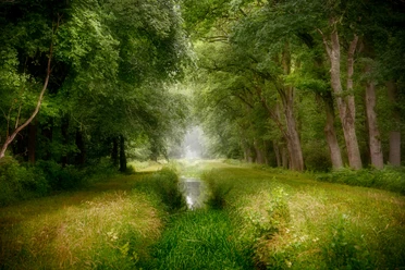 Waldgraben in Stapel Waldgraben in Stapel