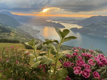 Auberge de montagne Niederbauen