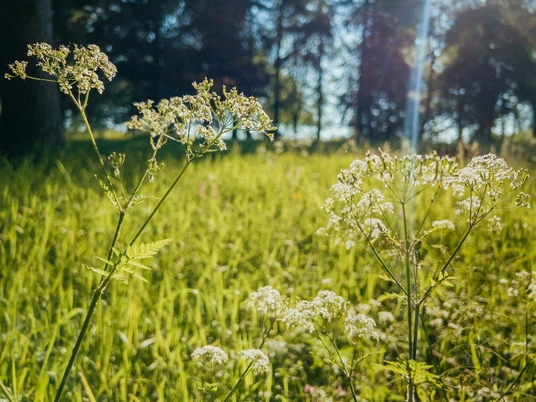 2023-06-10 08.38.36.jpg