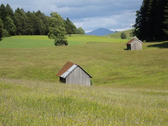 Bauernhofweg.jpg
