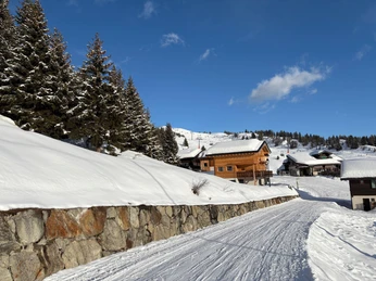 CHALET PRES SANS SKEURS