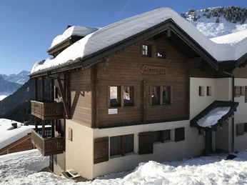 Almenrausch im Winter