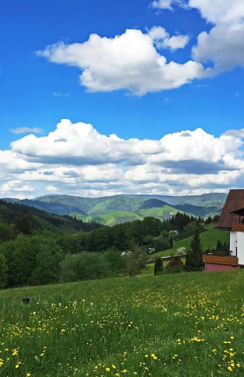 Höhenhotel Kalikutt