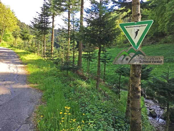 Eingang zum Nationalpark Schwarzwald