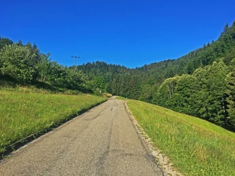 Auffahrt zum Kalikutt