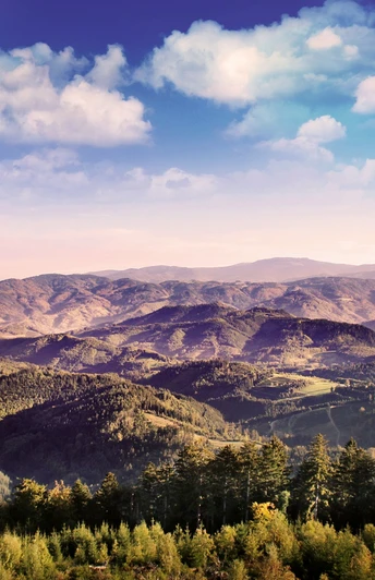 Panorama vom Moosturm