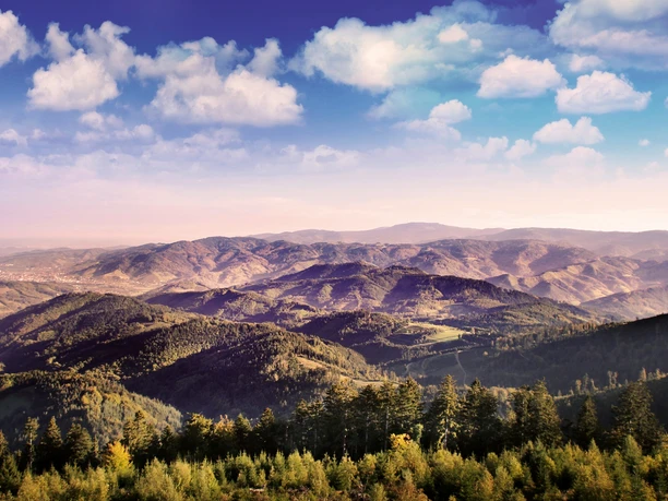 Panorama vom Moosturm