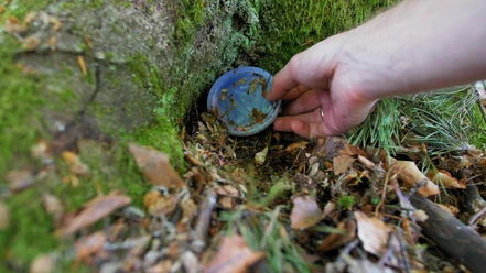 Playing Treasure Hunt Game Hiding and Finding Geocache Container in Forest POV Playing Treasure Hunt Game Hiding and Finding Geocache Container in Forest POV