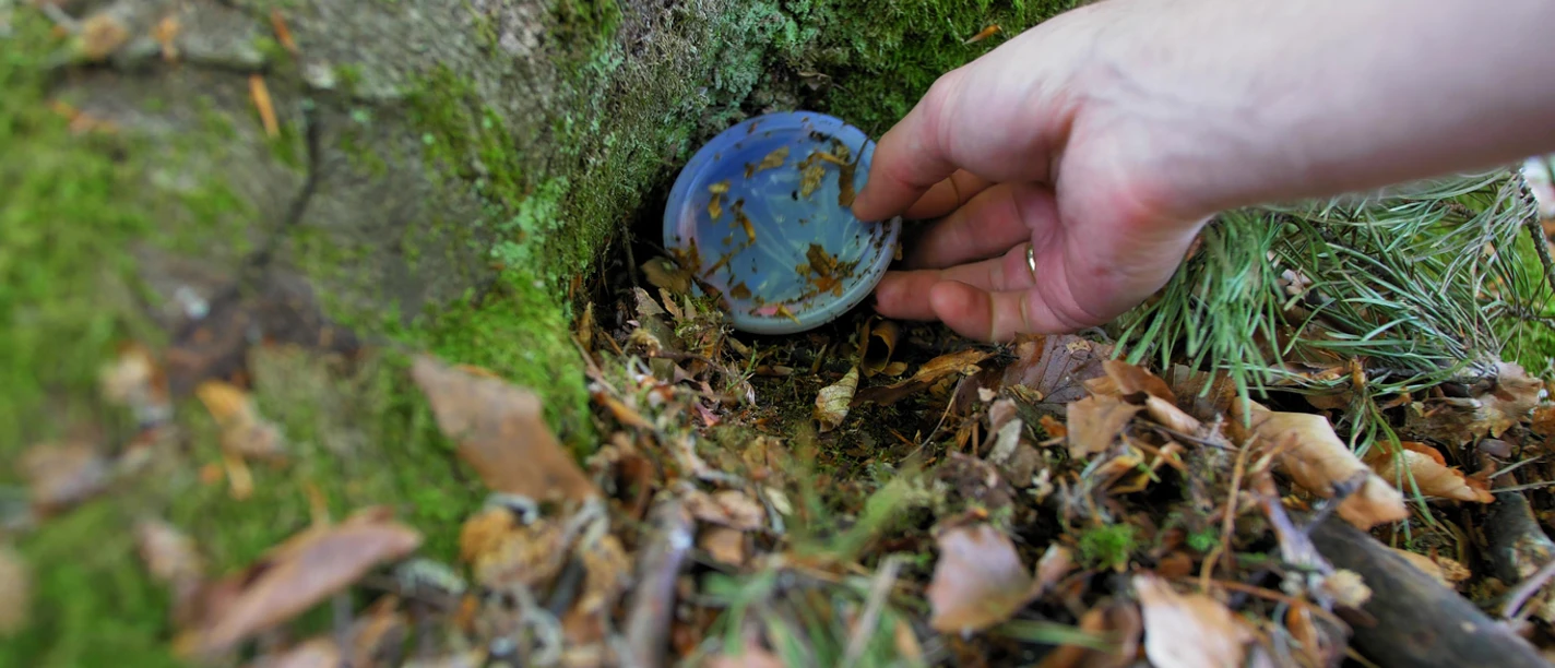 Playing Treasure Hunt Game Hiding and Finding Geocache Container in Forest POV Playing Treasure Hunt Game Hiding and Finding Geocache Container in Forest POV