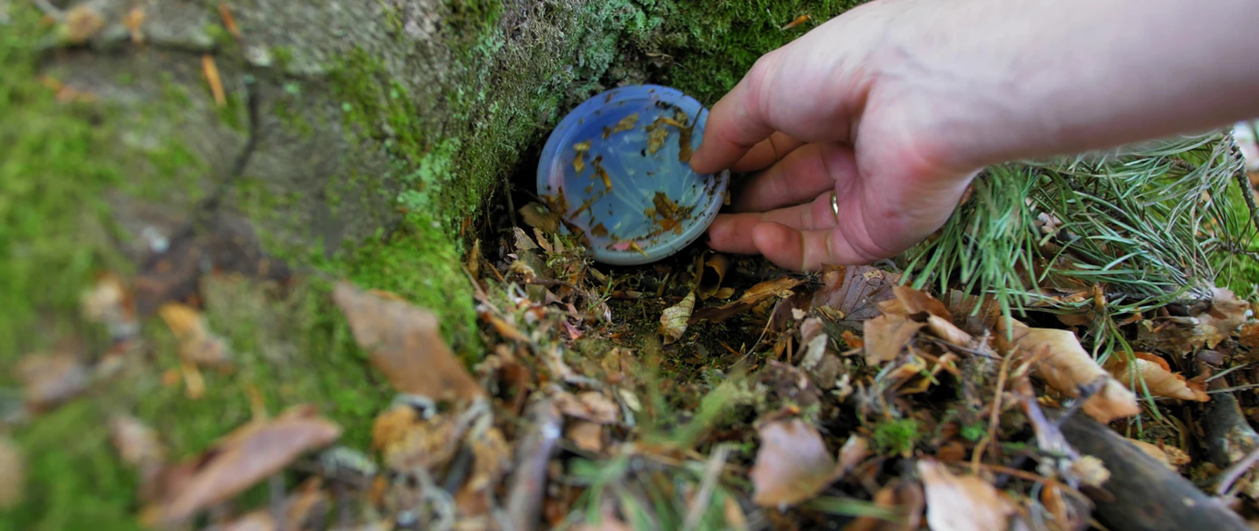 Playing Treasure Hunt Game Hiding and Finding Geocache Container in Forest POV Playing Treasure Hunt Game Hiding and Finding Geocache Container in Forest POV