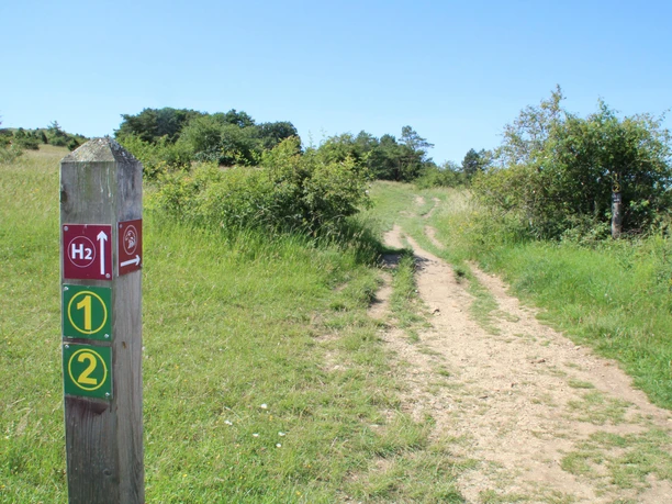 Wanderwege auf dem Dörnberg