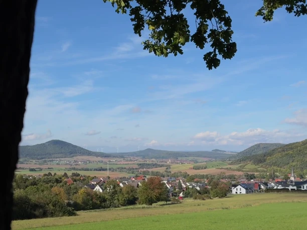 Blick auf Habichtswald