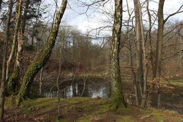 Erlenloch