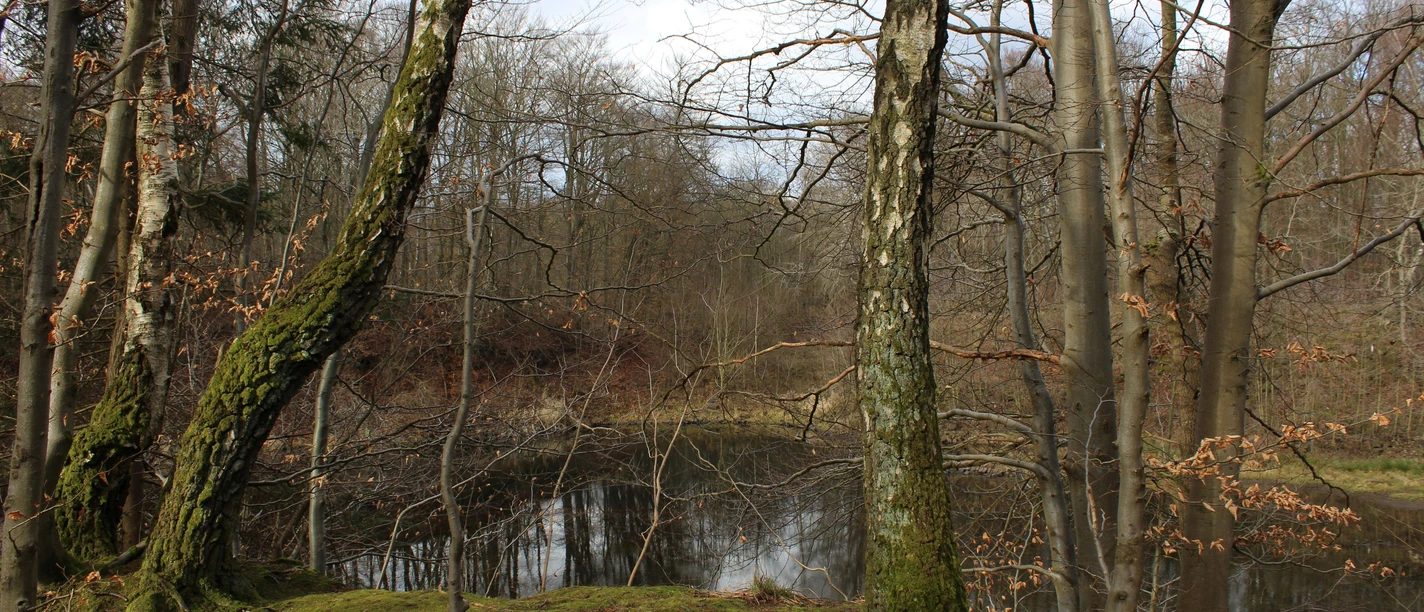 Erlenloch