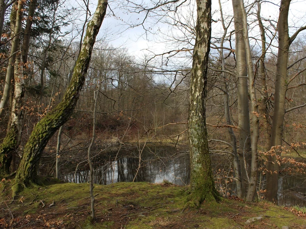 Erlenloch