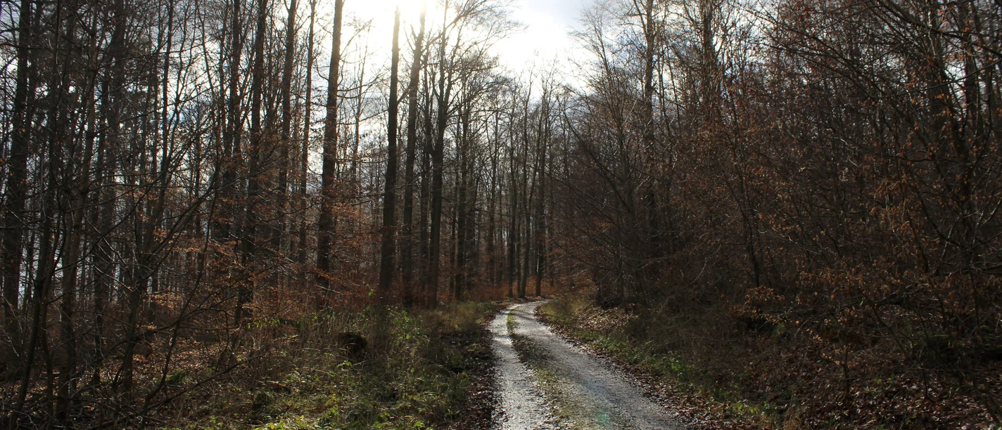 Wanderweg am Erlenloch
