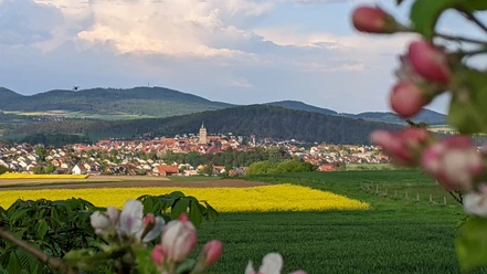 Blick auf Wolfhagen
