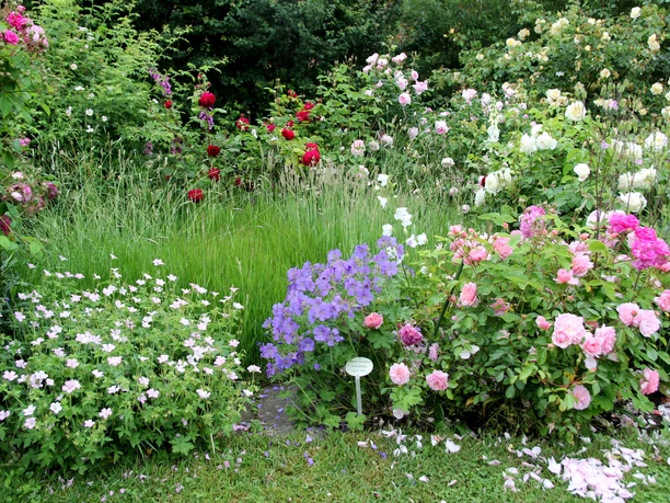 Rosengarten an der Elbe