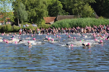 quer-durchs-meer-schwimmerfeld2.jpg In het midden van een meer zwemmen veel mensen met roze badmutsen in het water, omringd door weelderig groen en talloze toeschouwers op de oever.