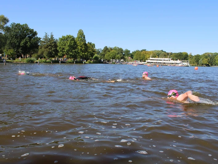 quer-durchs-meer-schwimmerfeld7.jpg Scènes in Bad Zwischenahn: zwemmers met roze petten glijden door het kalme water.