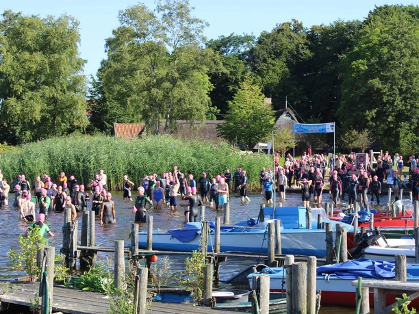 quer-durchs-meer-start-dreibergen.jpg An exciting swimming event at the Zwischenahner Meer in Bad Zwischenahn, with numerous participants in colorful swimming caps and a surrounding green natural backdrop.