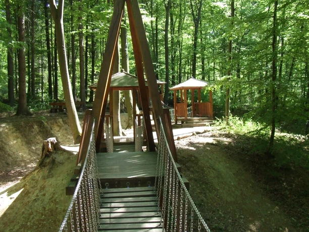 Naturerlebnis Wald Meerhof - Hängebrücke