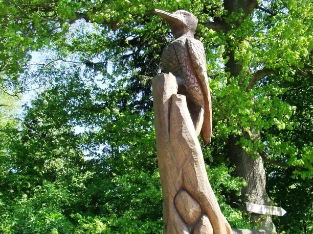 Naturerlebnis Wald Meerhof - Specht