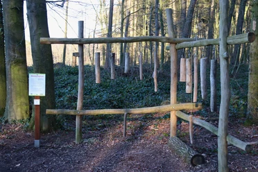 Waldxylophon Waldlehrpfad Stemweder Berg Holzstrukturen formen ein großes Xylophon im Wald, umgeben von Bäumen und Moosboden im Stemweder Berg.