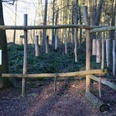 Waldxylophon Waldlehrpfad Stemweder Berg Holzstrukturen formen ein großes Xylophon im Wald, umgeben von Bäumen und Moosboden im Stemweder Berg.