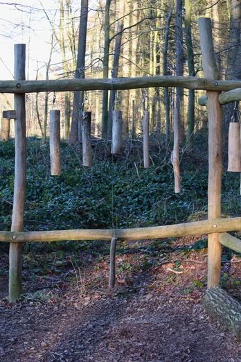Waldxylophon Waldlehrpfad Stemweder Berg Holzstrukturen formen ein großes Xylophon im Wald, umgeben von Bäumen und Moosboden im Stemweder Berg.