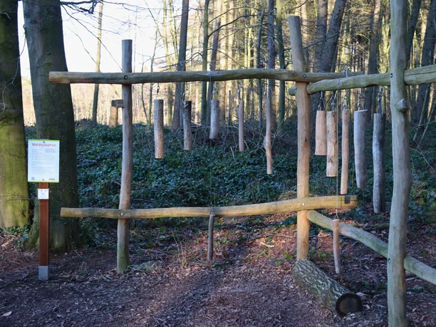 Waldxylophon Waldlehrpfad Stemweder Berg Holzstrukturen formen ein großes Xylophon im Wald, umgeben von Bäumen und Moosboden im Stemweder Berg.