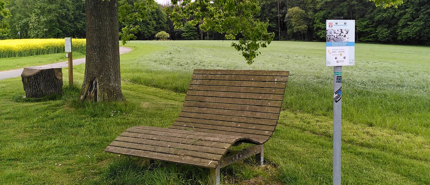 Houten bank onder een boom op een wandelpad, met uitzicht op groene weiden en bossen.