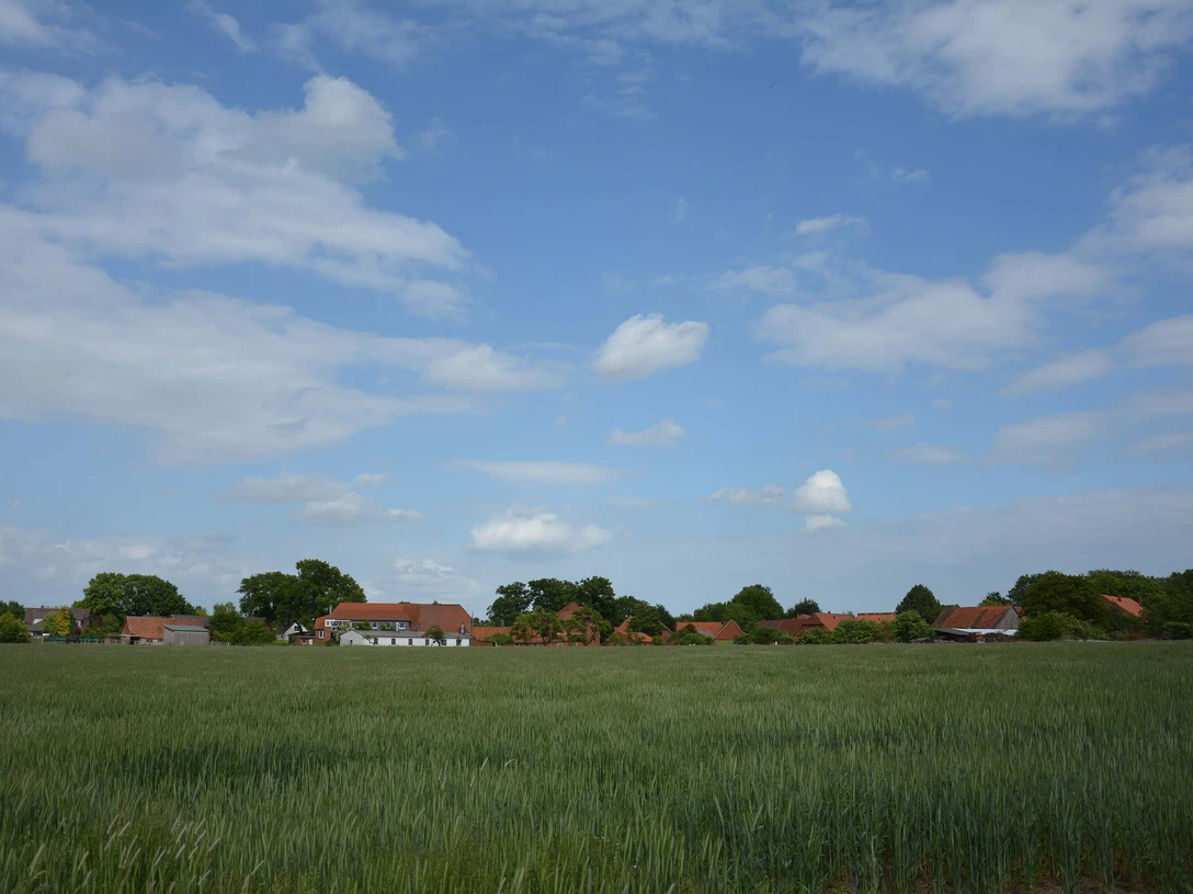 suttorf Eine weitläufige grüne Wiese erstreckt sich vor einer kleinen Ansammlung von Backsteinhäusern unter blauem Himmel.