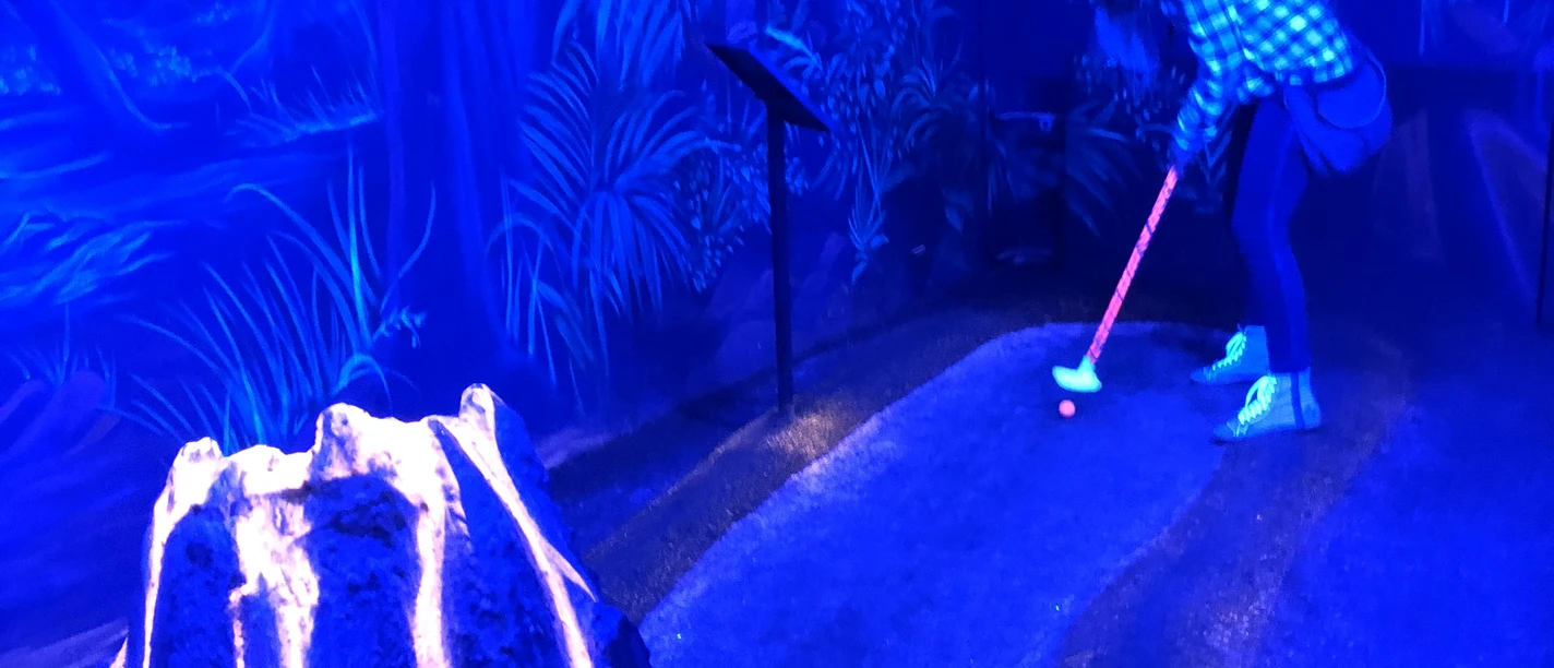 Schwarzlichtlöwen in Braunschweig