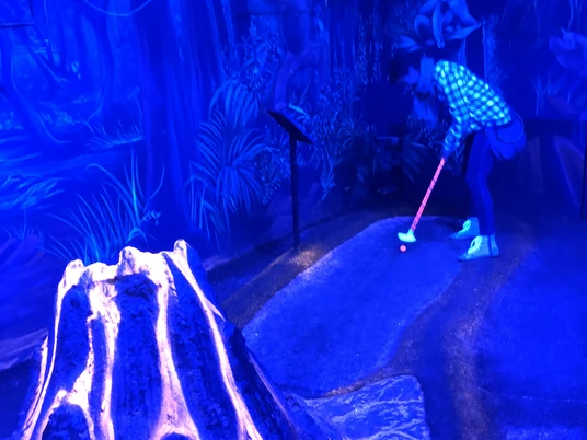 Schwarzlichtlöwen in Braunschweig